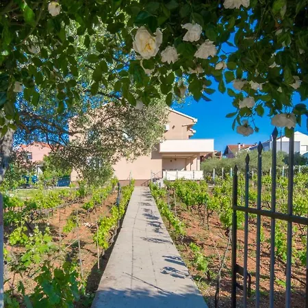 Mediterranean Vineyard Daire *